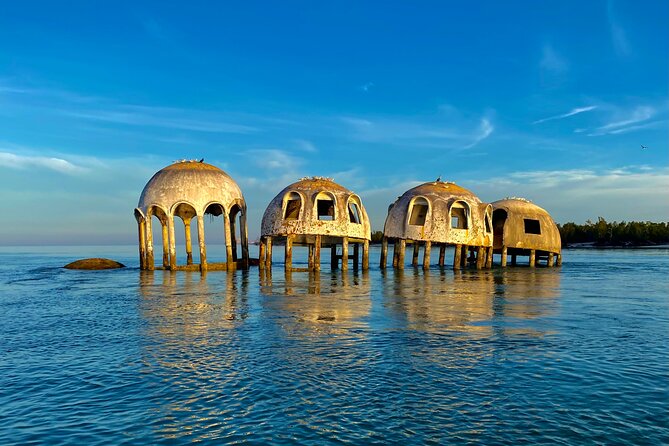 Ten Thousand Islands Eco/Dolphin Tour - Family comfort and physical demands