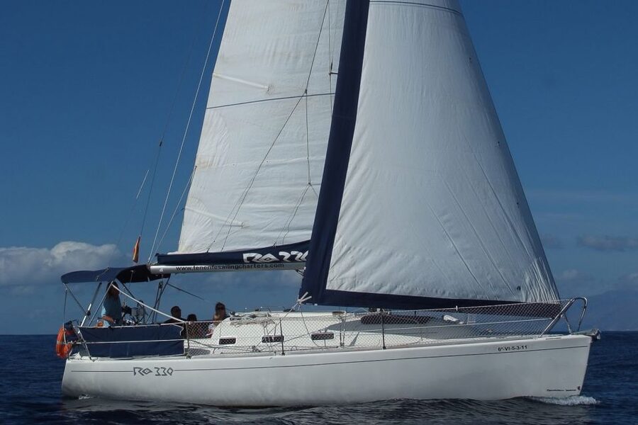Tenerife: 3 &-6 Hour Private Whale & Dolphin Watching - Practical details that make the day easier