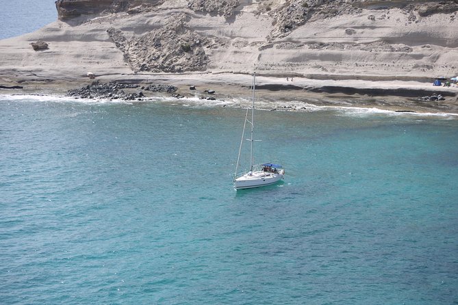 Tenerife 3-Hour Discover Whales and Dolphins - A small yacht instead of a crowded catamaran