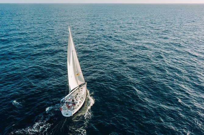 Tenerife 3-Hour Discover Whales and Dolphins - The sea can be calm, or it can be rocky
