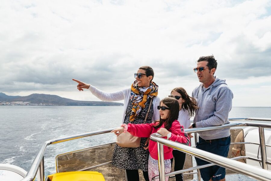 Tenerife: Eco-Yacht Whale and Dolphin Watching and Swimming - Should you book the Travelin Lady?