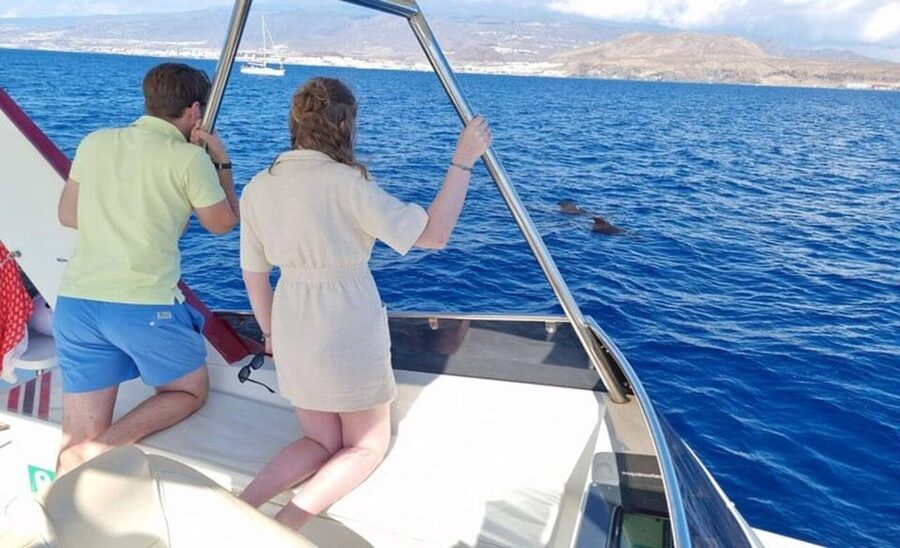 Tenerife: Eco-Yacht Whale and Dolphin Watching and Swimming - The Cave of Love and the Palm-Mar coast