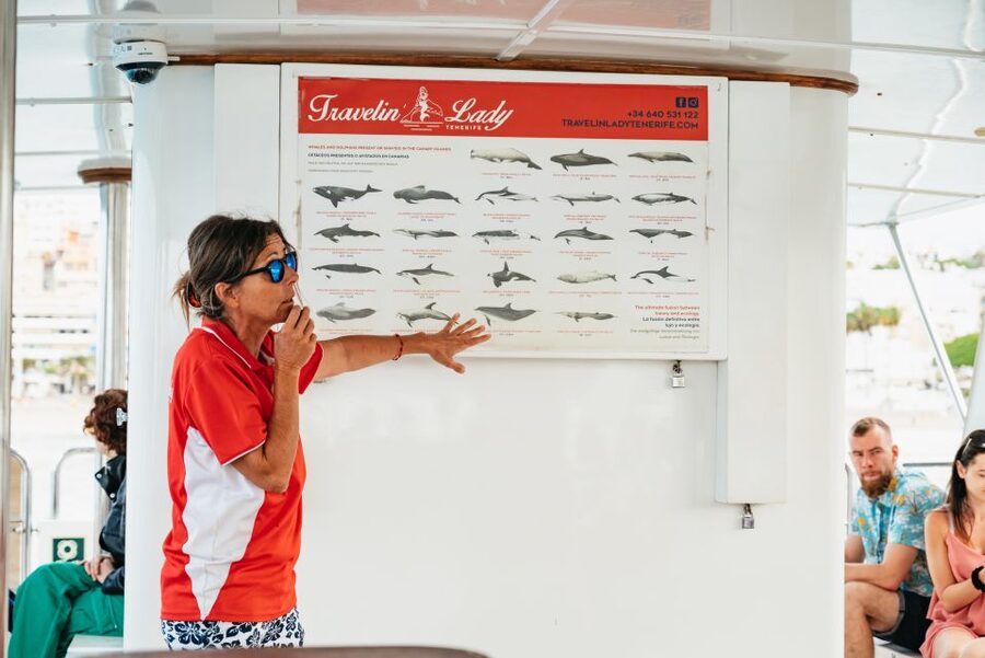 Tenerife: Eco-Yacht Whale and Dolphin Watching and Swimming - Meeting the Travelin Lady at Los Cristianos