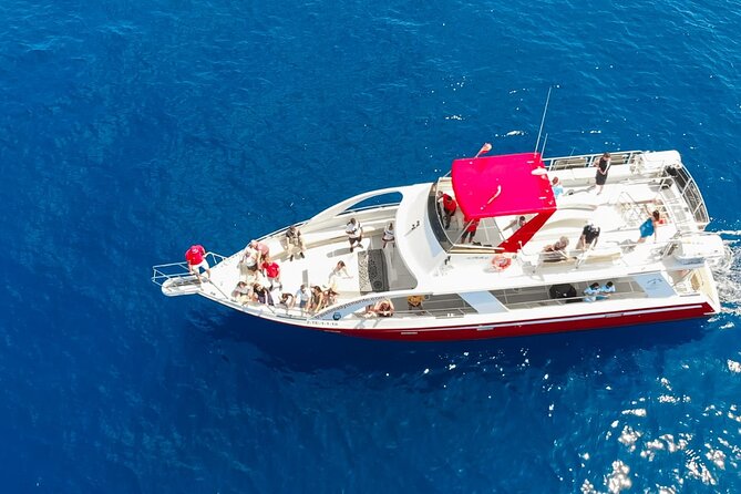 Tenerife Los Cristianos: Whale and Dolphin Eco-Yacht and Swim Stop - Starting at Los Cristianos port