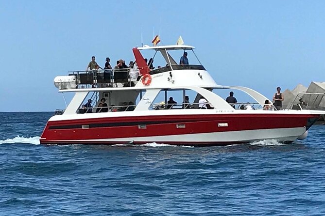 Tenerife Los Cristianos: Whale and Dolphin Eco-Yacht and Swim Stop - How comfortable is the yacht?