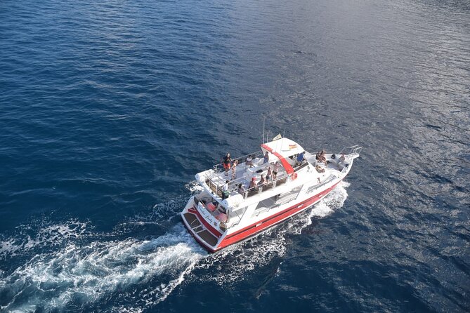 Tenerife Los Cristianos: Whale and Dolphin Eco-Yacht and Swim Stop - Which departure suits you best?