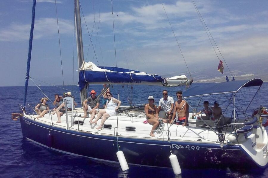 Tenerife: Luxury Private Whale & Dolphin Watching Tour - Comfort, clothing, and what to pack
