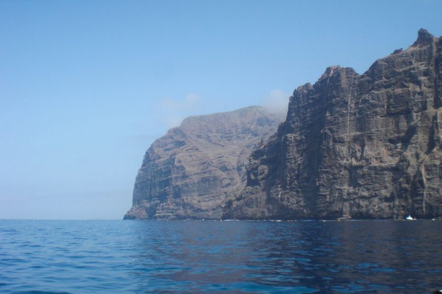 Tenerife: Luxury Private Whale & Dolphin Watching Tour - Watching for pilot whales offshore