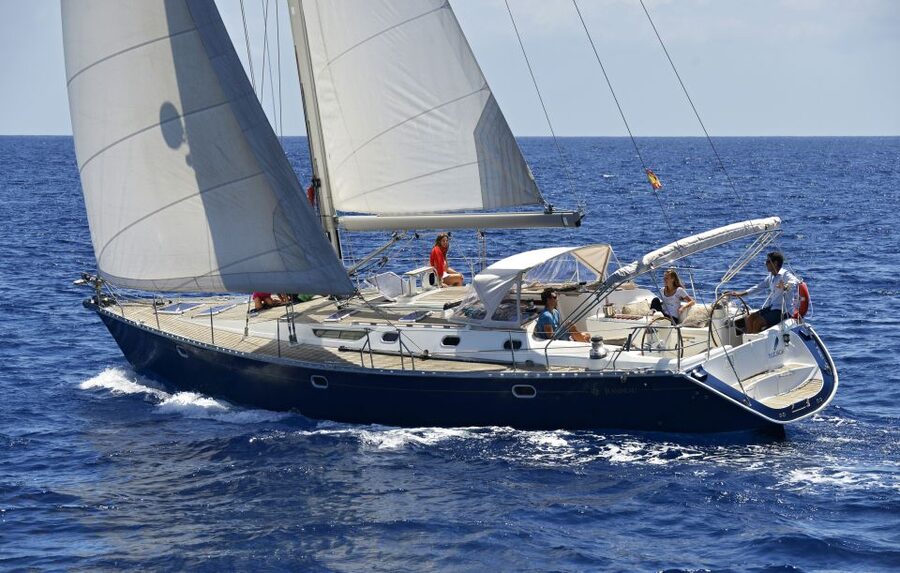 Tenerife: Sailing Excursion with Whale and Dolphin Watching - What the three-hour route is really like