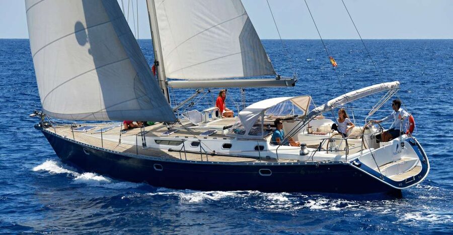 Tenerife: Sailing Excursion with Whale and Dolphin Watching - Swimming and snorkeling in a quiet bay