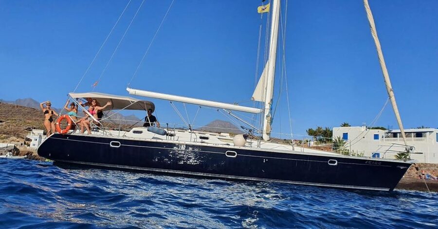 Tenerife: Sailing Excursion with Whale and Dolphin Watching - What the $88 price includes