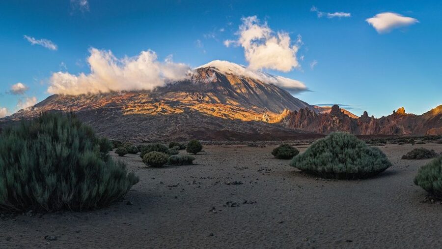 Tenerife: Teide National Park and Dolphins Sailboat Tour - From hotel pickup to Tenerife’s high country