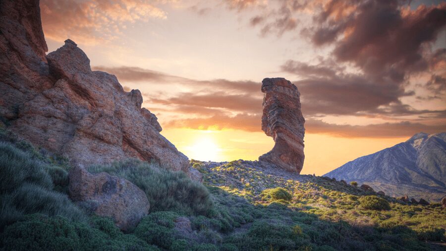 Tenerife: Teide National Park and Dolphins Sailboat Tour - Should you book this Tenerife combo tour?