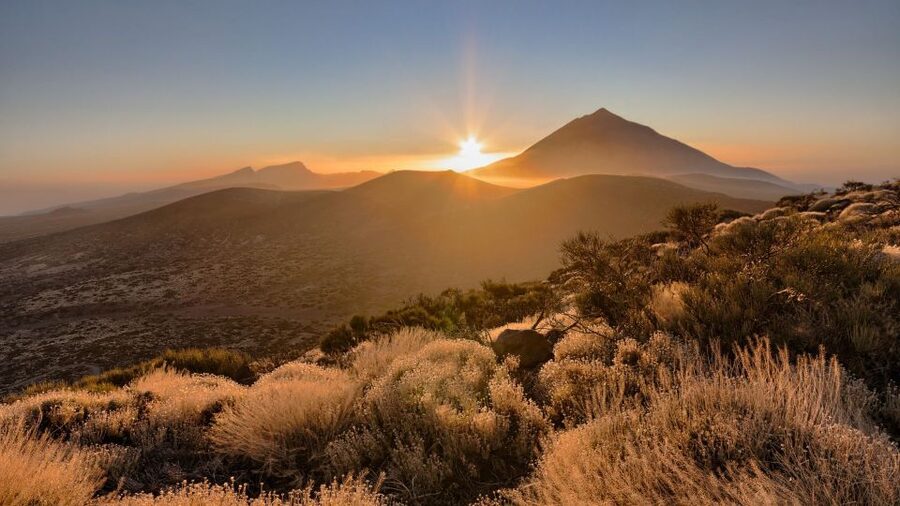 Tenerife: Teide National Park and Dolphins Sailboat Tour - Teide National Park and its volcanic viewpoints