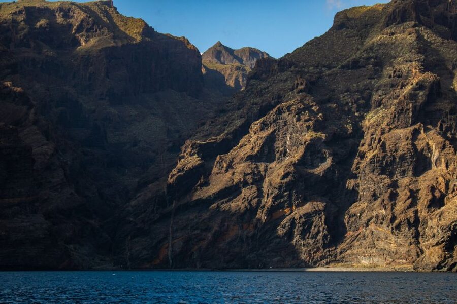 Tenerife: Teide National Park and Dolphins Sailboat Tour - Dolphins, pilot whales, and the limits of wildlife watching