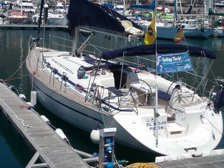Tenerife: Teide National Park and Dolphins Sailboat Tour - Snacks, drinks, and the value of the price