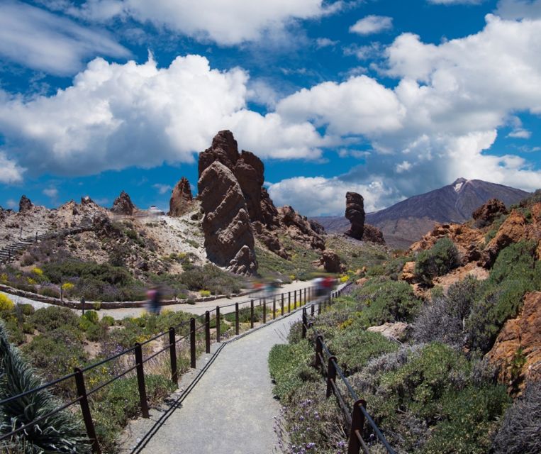 Tenerife: Teide National Park and Dolphins Sailboat Tour - Who will get the most from this tour?