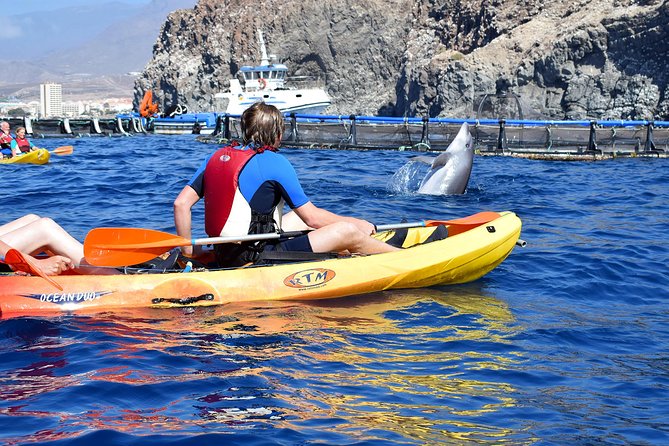 Tenerife: Turtle & Dolphin Kayak Tour with Snorkel & Wetsuit - The snorkeling stop and what it offers