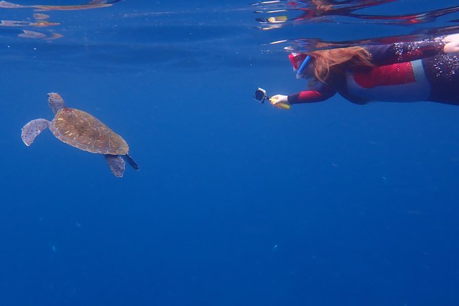 Tenerife: Turtle & Dolphin Kayak Tour with Snorkel & Wetsuit - The return journey and views toward Teide