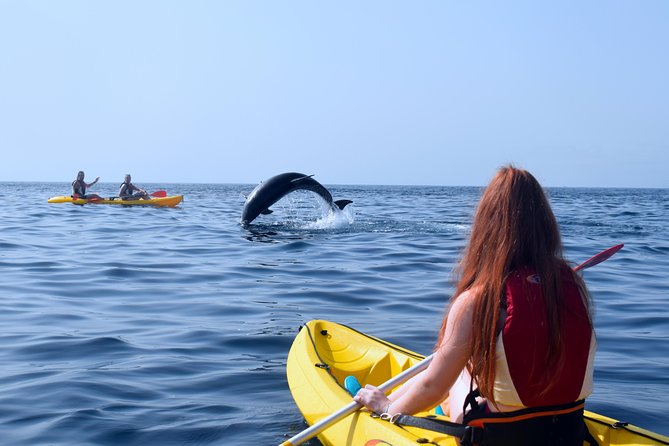 Tenerife: Turtle & Dolphin Kayak Tour with Snorkel & Wetsuit - Guide quality can shape the whole day