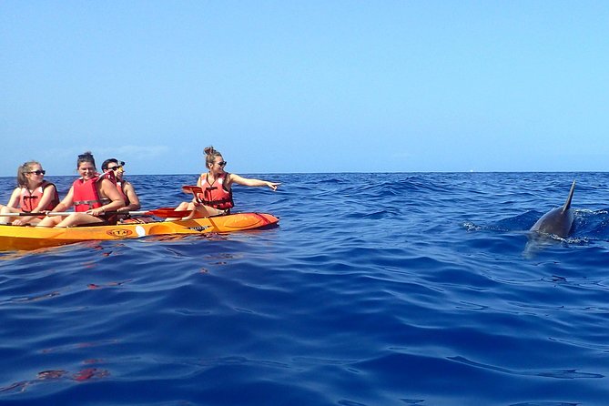 Tenerife: Turtle & Dolphin Kayak Tour with Snorkel & Wetsuit - What the $42.33 price really covers