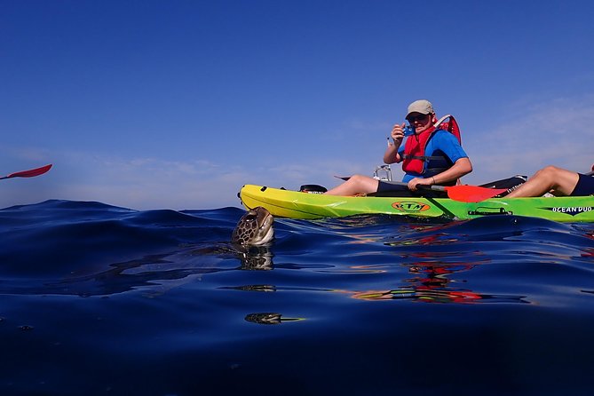 Tenerife: Turtle & Dolphin Kayak Tour with Snorkel & Wetsuit - Who should book this experience?