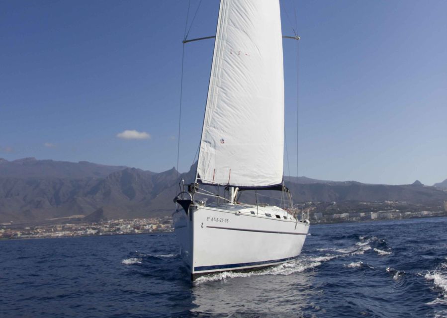 Tenerife: Whale and Dolphin Watching Tour by Sailboat - Key points to know before booking
