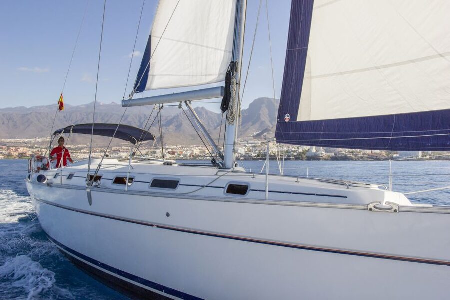 Tenerife: Whale and Dolphin Watching Tour by Sailboat - Is $69 good value for three hours?