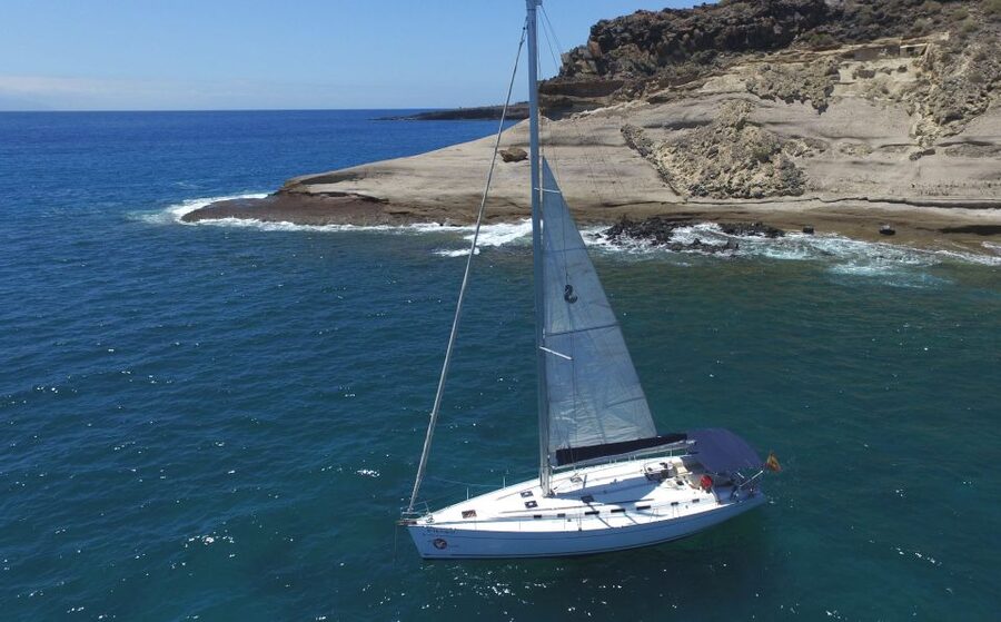 Tenerife: Whale and Dolphin Watching Tour by Sailboat - Searching for whales and dolphins off Costa Adeje
