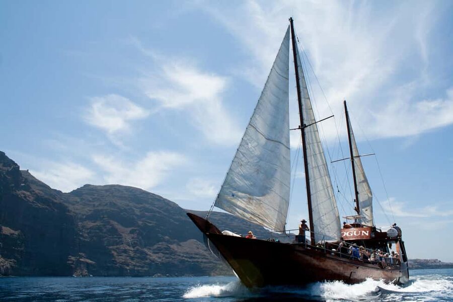 Tenerife: Whale & Dolphin Watching Cruise with Swim Stop - Should you book this whale-watching cruise?