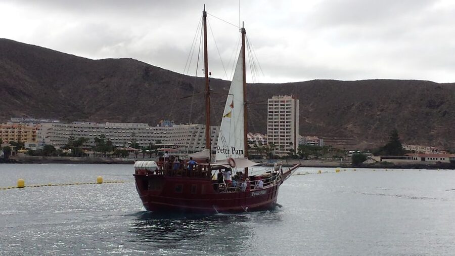 Tenerife: Whale & Dolphin Watching Cruise with Swim Stop - Peter Pan and the Atlantic setting