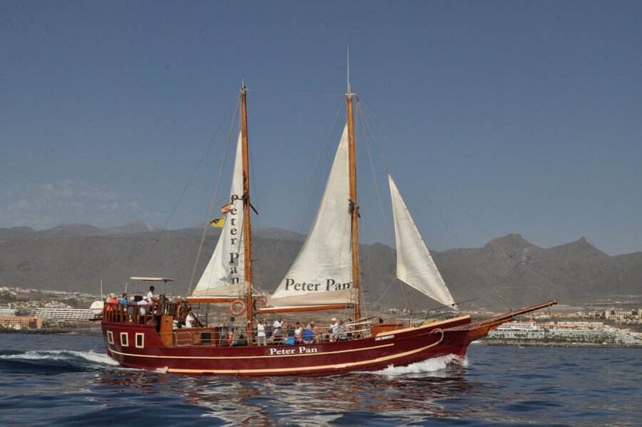 Tenerife: Whale & Dolphin Watching Cruise with Swim Stop - Pickup, timing, and the practical details