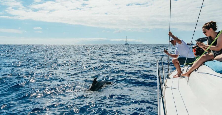 Tenerife: Whale & Dolphin Watching with Drinks and Snacks - A quiet bay for swimming and snorkeling