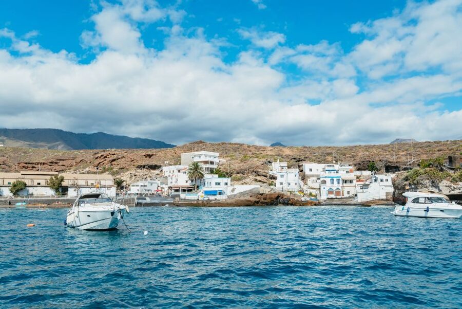 Tenerife: Whale & Dolphin Watching with Drinks and Snacks - Why the small group changes the day