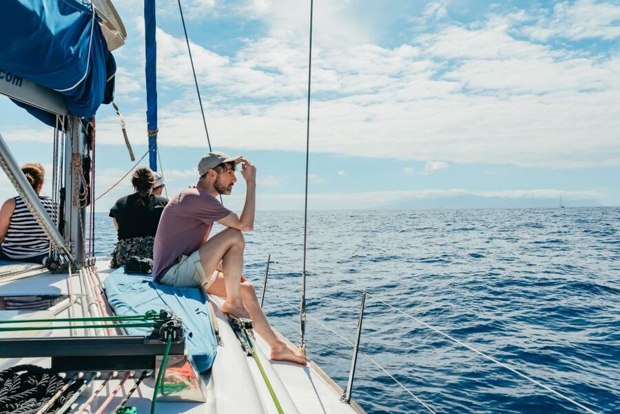 Tenerife: Whale & Dolphin Watching with Drinks and Snacks - Is $77 a fair price?