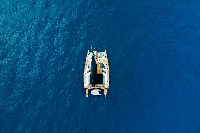 Tenerife Whales and Dolphins Watching Experience in Catamaran - The South Coast Views Are Part of the Payoff