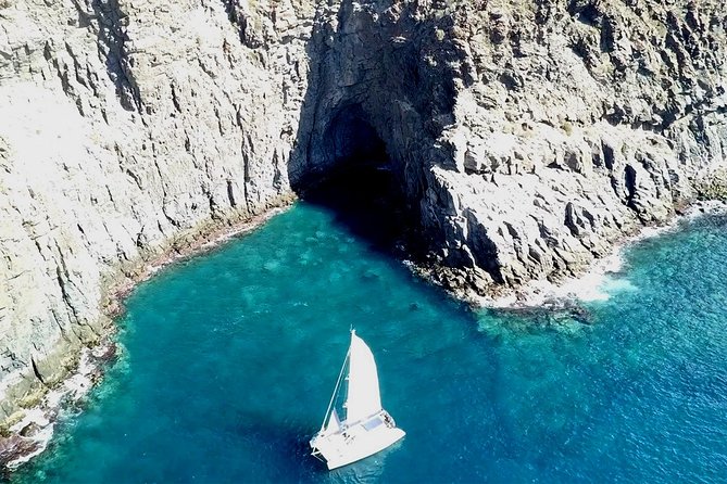 Tenerife Whales and Dolphins Watching Experience in Catamaran - Is $68.98 a Fair Price?