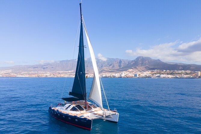 Tenerife Whales and Dolphins Watching Experience in Catamaran - Who Will Enjoy This Excursion Most?
