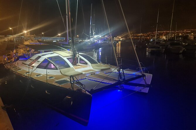 Tenerife Whales and Dolphins Watching Experience in Catamaran - What the Three-Hour Route Feels Like