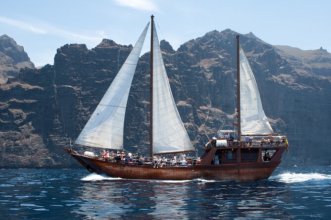 Tenerife : Whales and Dolphins with Food and Bath in Los Gigantes - Returning Along Tenerife’s Southwest Coast