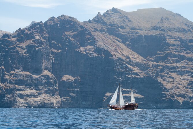 Tenerife : Whales and Dolphins with Food and Bath in Los Gigantes - Is the $66.42 Price Good Value?