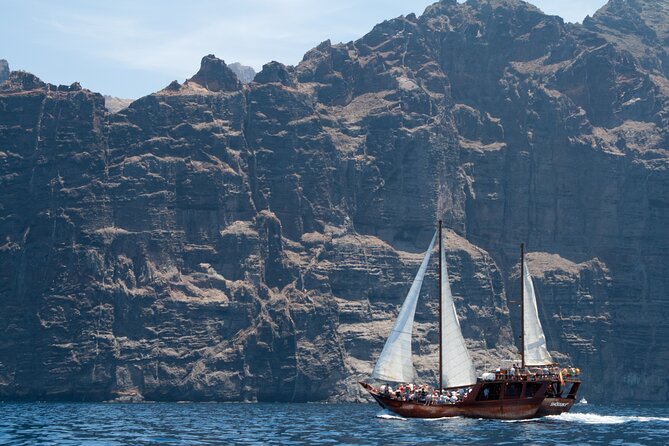 Tenerife : Whales and Dolphins with Food and Bath in Los Gigantes - Who Will Enjoy This Boat Trip Most?