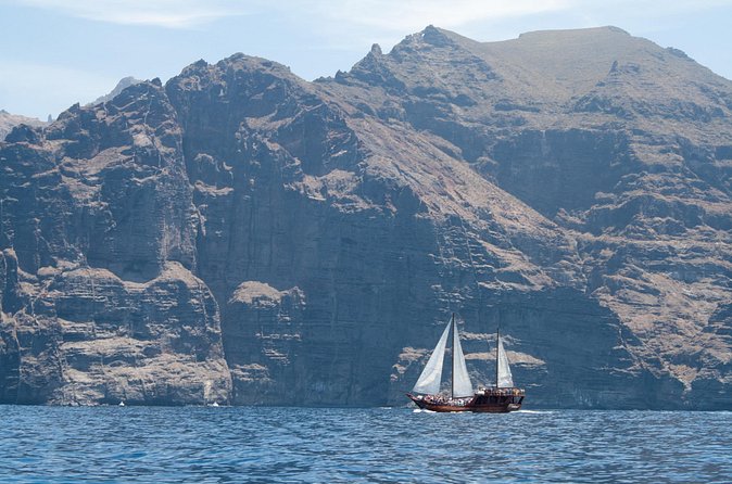 Tenerife : Whales and Dolphins with Food and Bath in Los Gigantes - Should You Book the Shogun?
