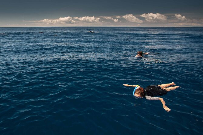 Terceira Island: Swimming with Wild Dolphins | Natural Habitat - A Small Boat Helps You Stay Involved