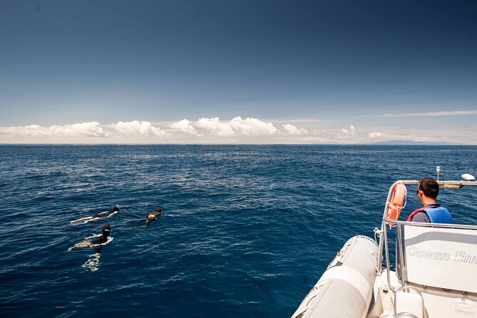 Terceira Island: Swimming with Wild Dolphins | Natural Habitat - The Guides and Crew Make a Difference