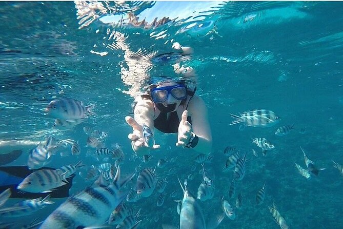 The Dolphin House Royal Sea Trip Adventure in Hurghada - Lunch, soft drinks, and time on deck