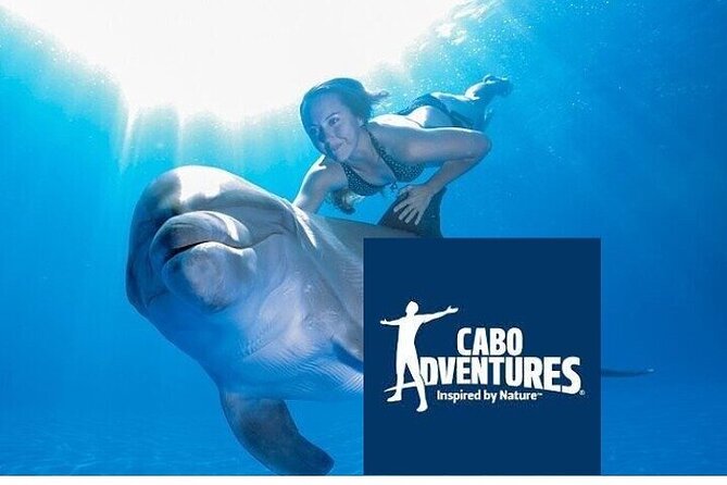 The only Natural Space Dolphin Encounter in Cabo Optional Pickup! - Why the guides matter more than the setting