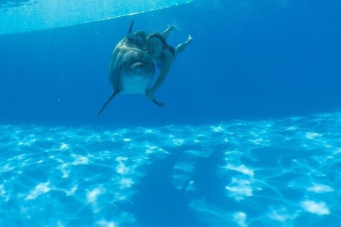 The only Natural Space Dolphin Encounter in Cabo Optional Pickup! - Is this a good family activity?