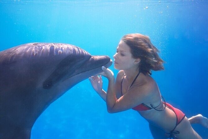 The only Natural Space Dolphin Encounter in Cabo Optional Pickup! - The Cabo landmarks listed with the activity