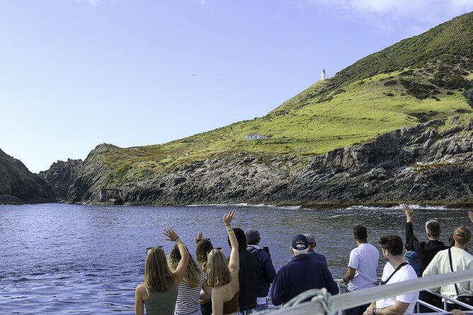 The Original Full day Bay of Islands Cruise with Dolphins - Why this cruise works as a full-day Bay of Islands outing